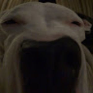 Meet your Posher, Kaden